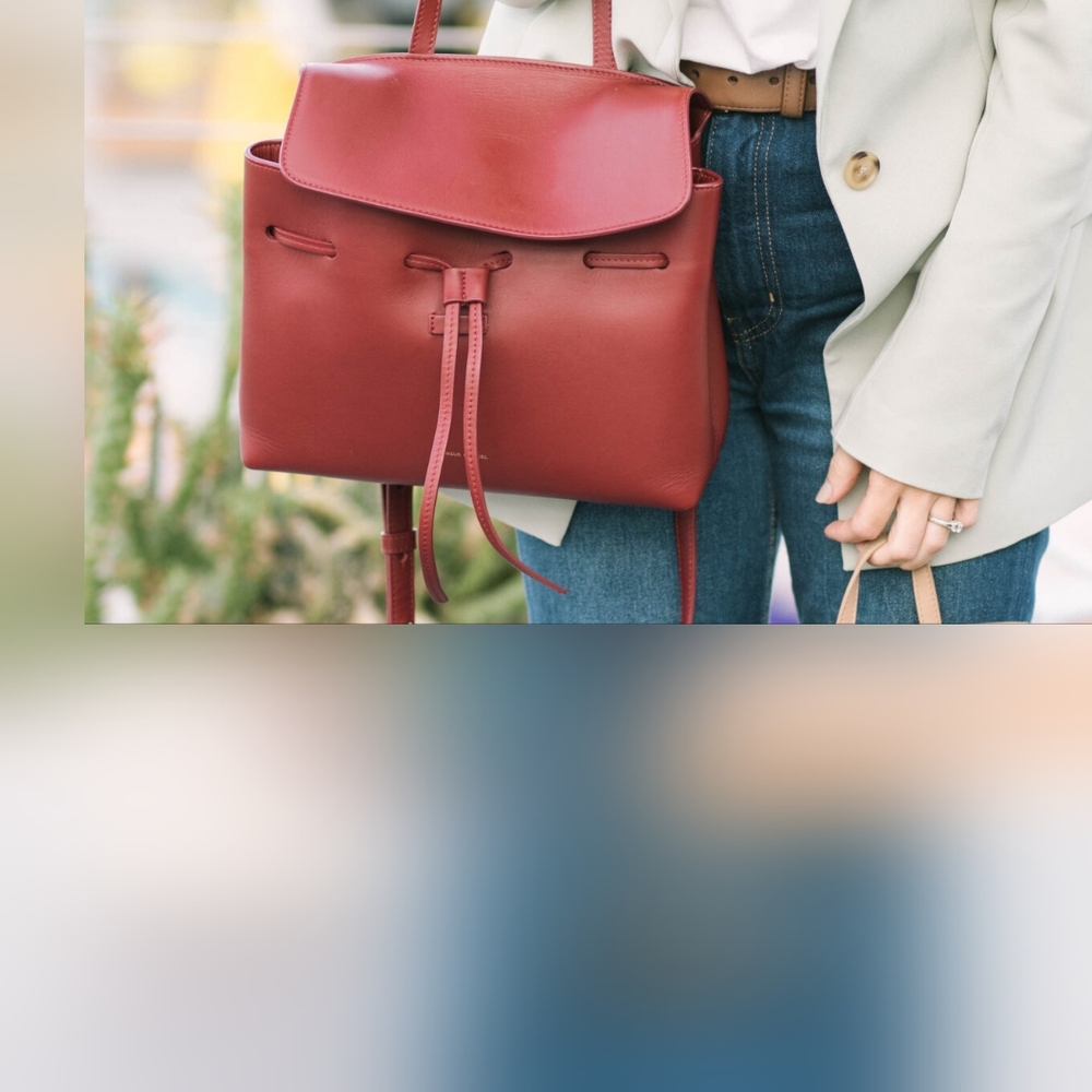 NWT $1150 Mansur Gavriel Mediun Size ladybag